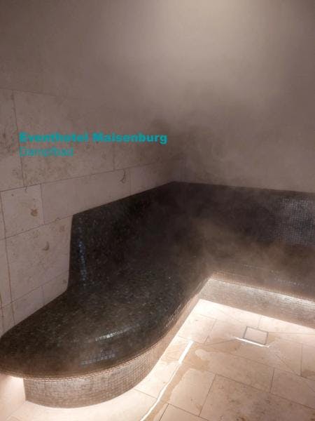 Bild eines Saunabau Geiger Dampfbads